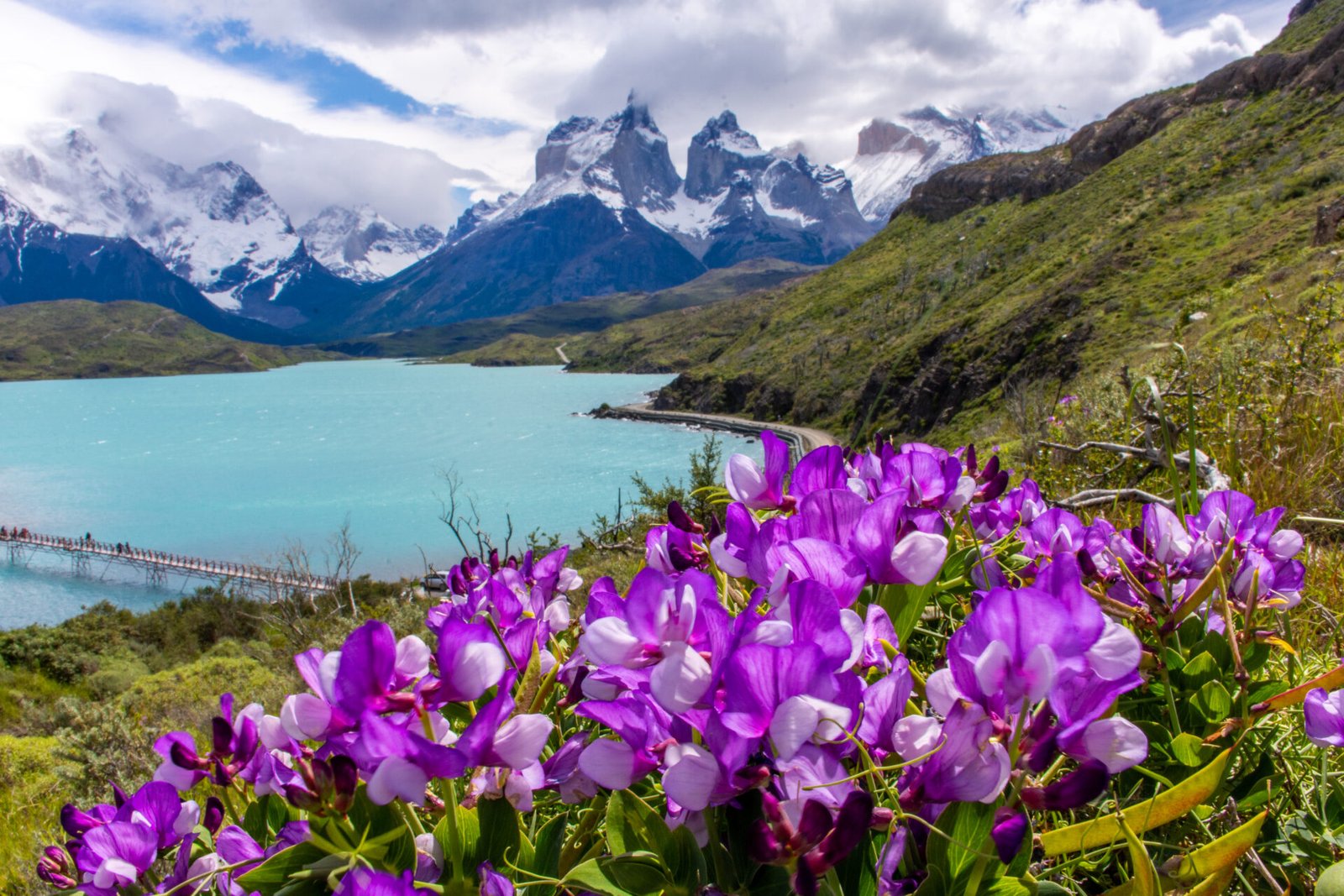 Región de Magallanes Chile